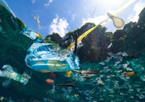 Plastic Free Balearics, Save the Med Foundation