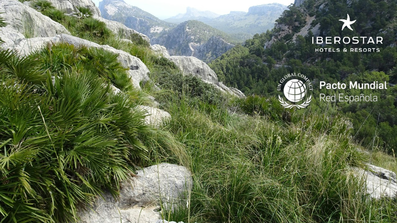 <p>Empresas responsables por una competitividad sostenibilidad </p>