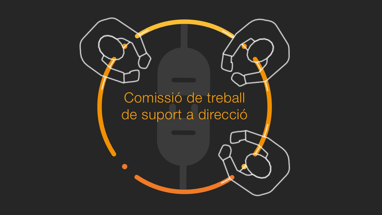 IMPULSA BALEARS constitueix la Comissió de treball de suport a direcció per reforçar el seu model de governança
