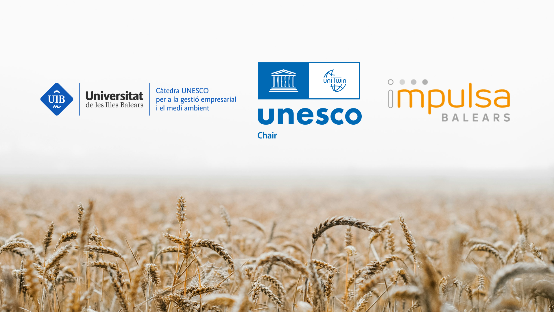 IMPULSA BALEARS y la UIB reactivan la Cátedra UNESCO para la gestión empresarial y el medio ambiente