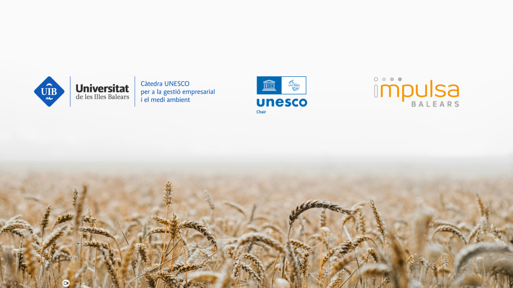 La UNESCO renueva hasta 2029 la Cátedra UNESCO para la gestión empresarial y el medioambiente